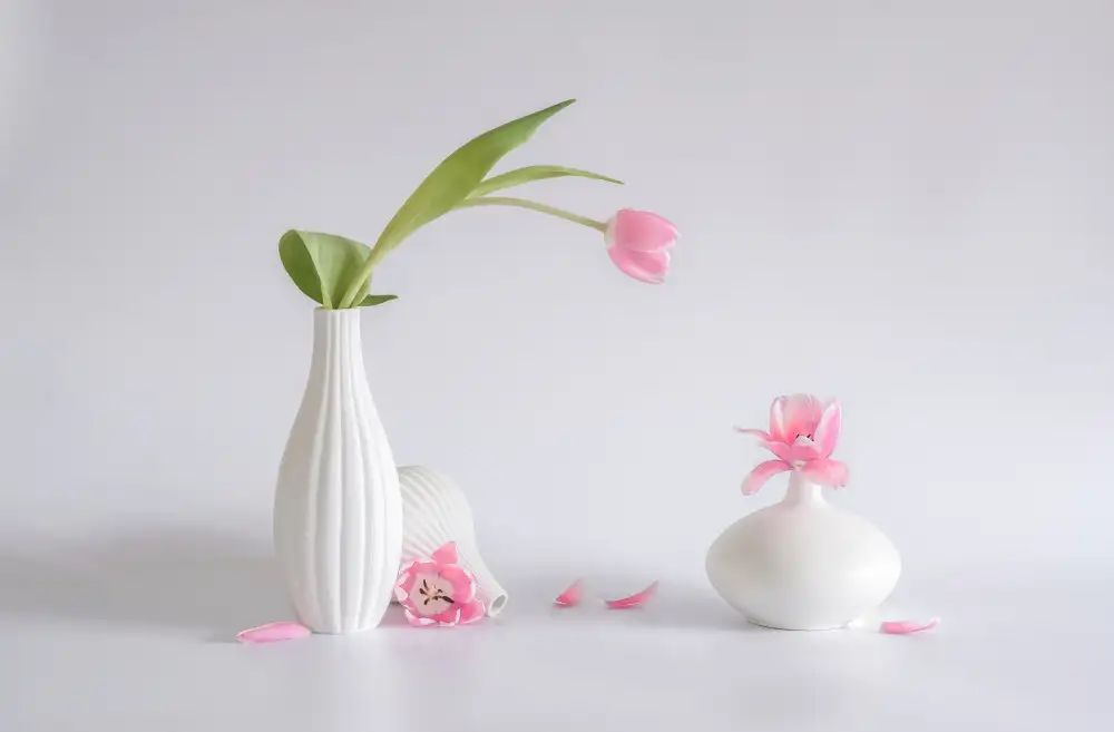 Sheng, Alice: still life 80