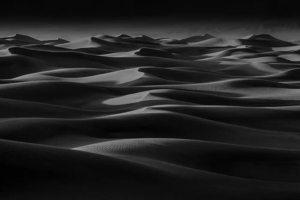 Lu, Catherine: Sandwellen