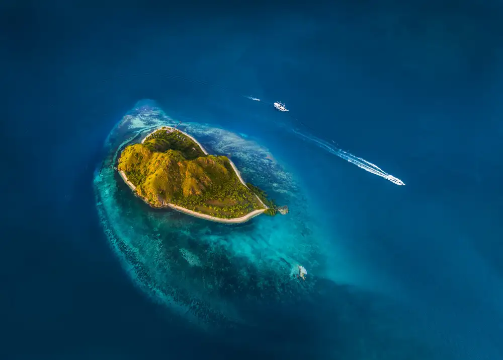 Wu, Irene: Oko oceánu