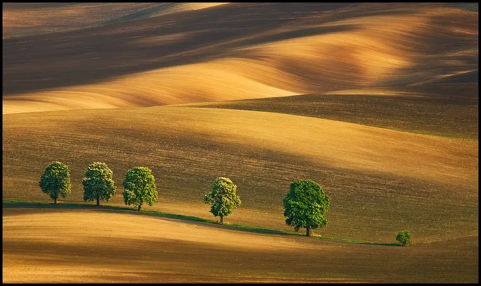 Browko, Krzysztof: Six...