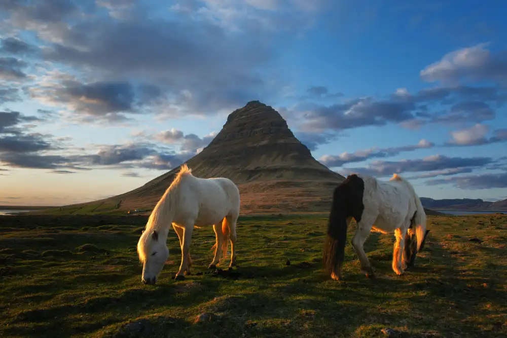 Kravanja, Jure: hora Kirkjufell
