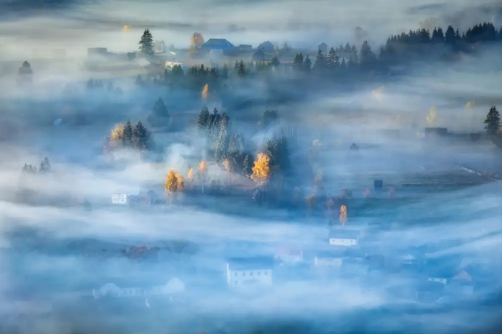 Prioteasa, Sebastian: Nebbia mattutina