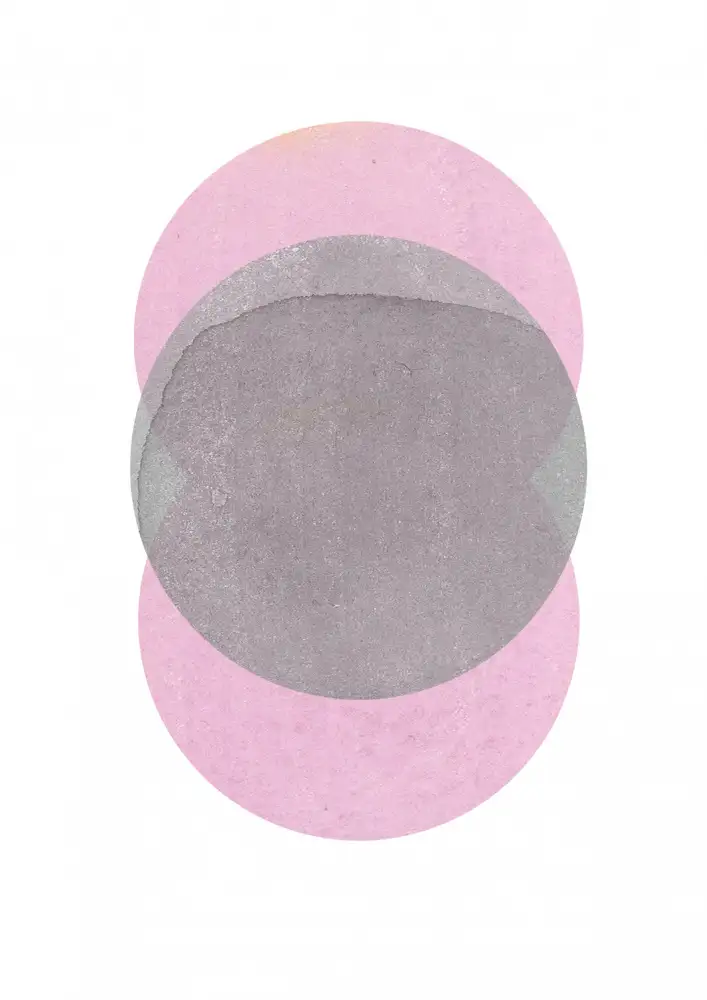 Terheijden, van Louise: Graurosa Kreise