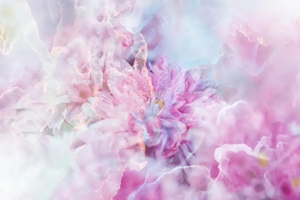 Kulik, Rafal: ombre089flor