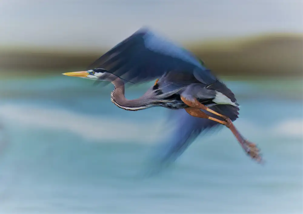 He, Mike: Flying in Slow Motion