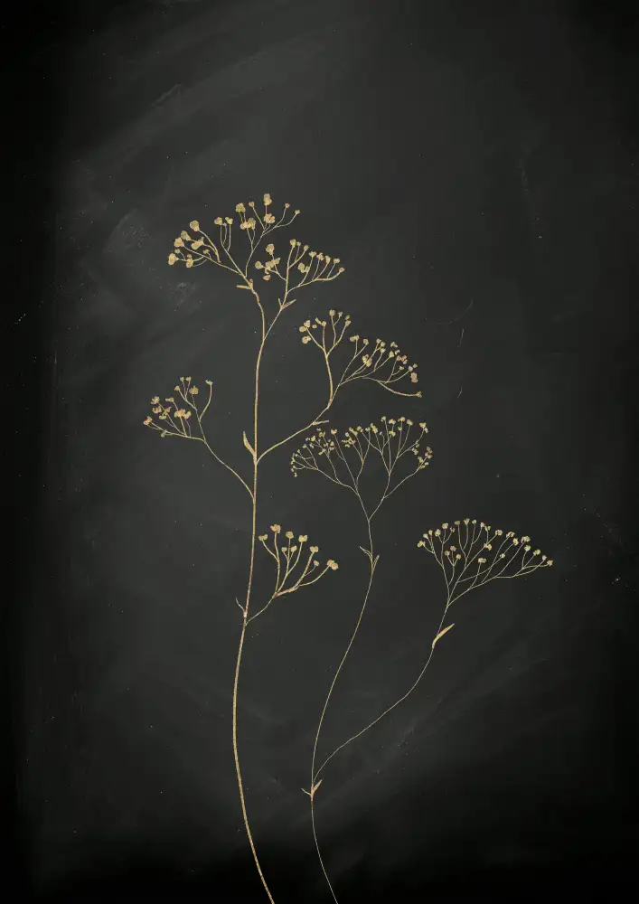 Aureous: Black Gold Botanical No 1