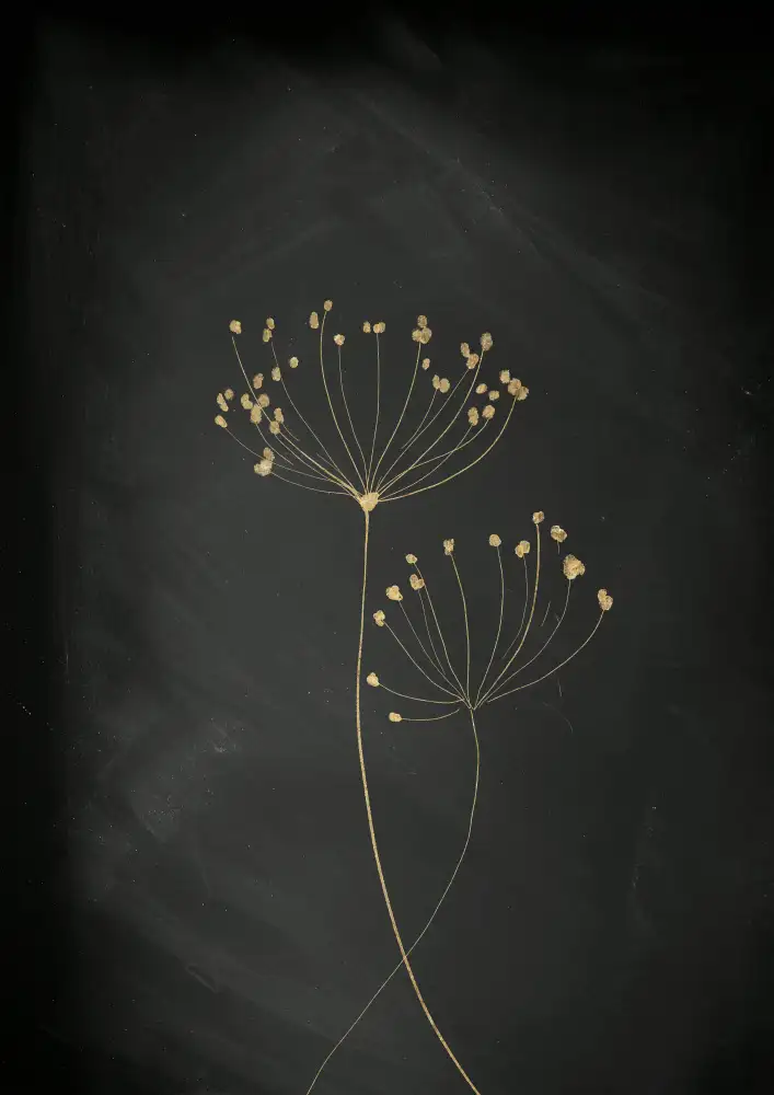 Aureous: Black Gold Botanical No 2