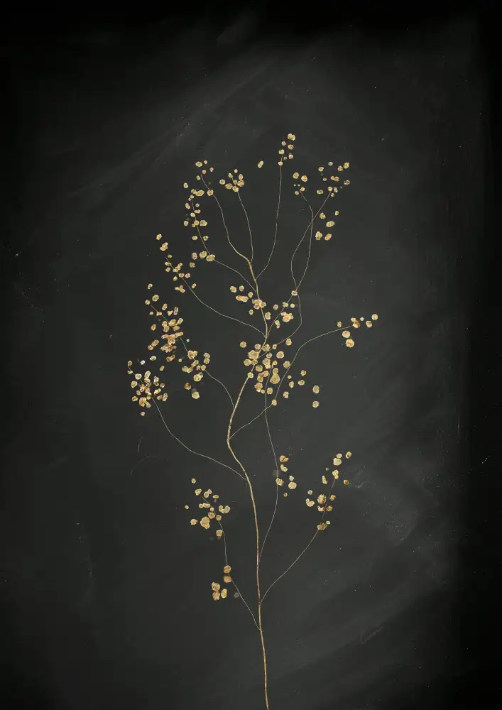 Aureous: Botánico Oro Negro No 3