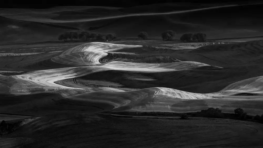 NanZ: Pohled na Palouse