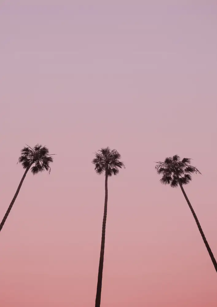 Clint, by Shot: Cattedrali di Cali 01