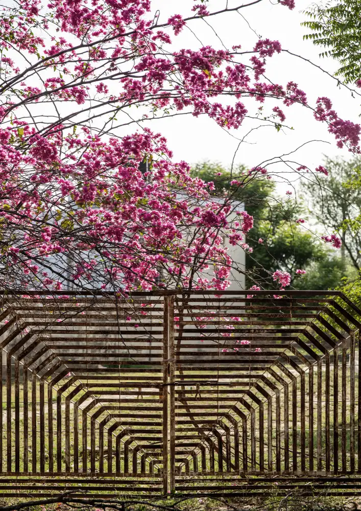 Clint, by Shot: Cancello del giardino
