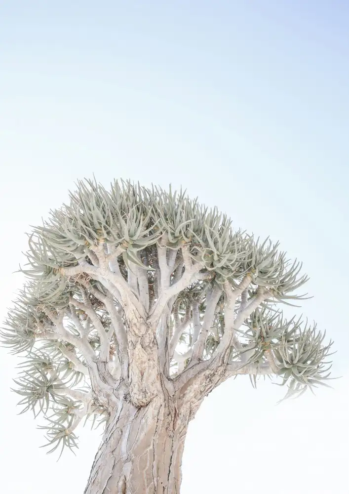 Clint, by Shot: Albero della faretra Gk 05
