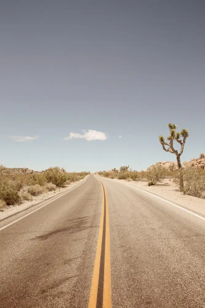 Clint, by Shot: Strada verso il nulla