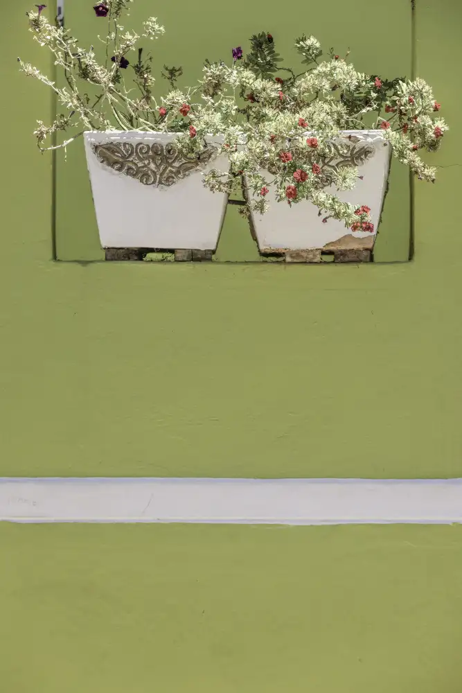 Clint, by Shot: Giardino delle pareti