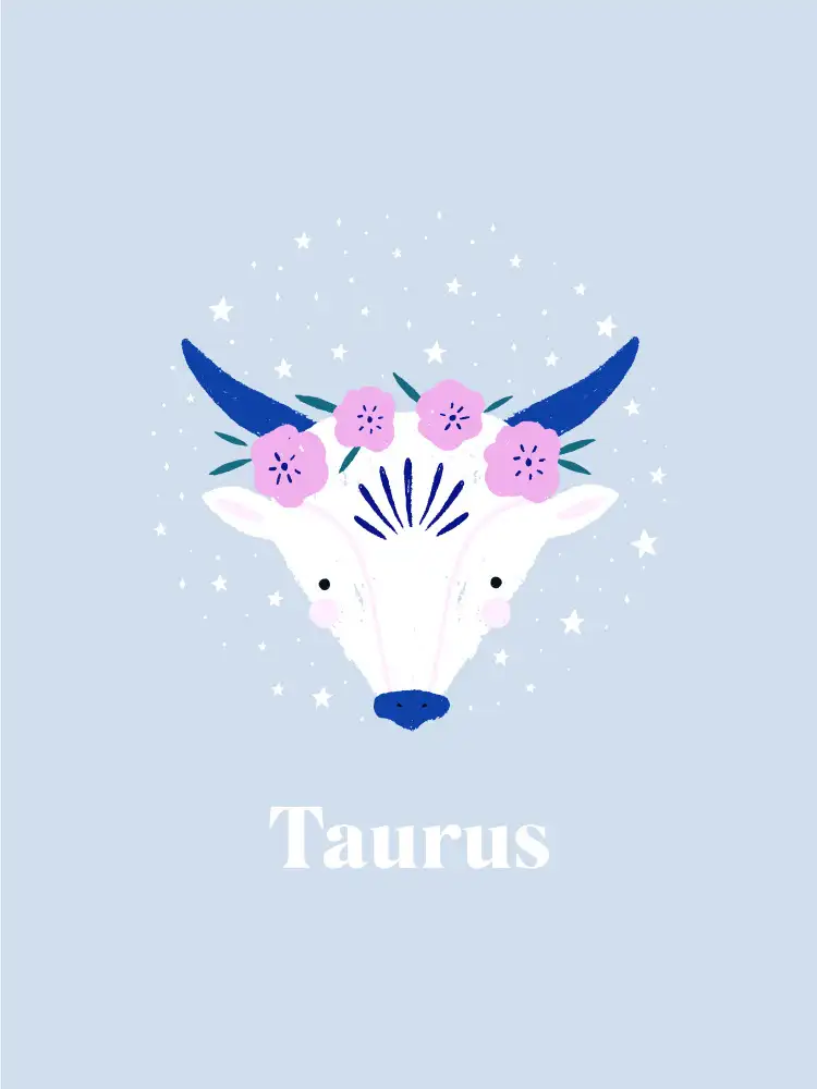 Simmonds, Aislinn: Toro