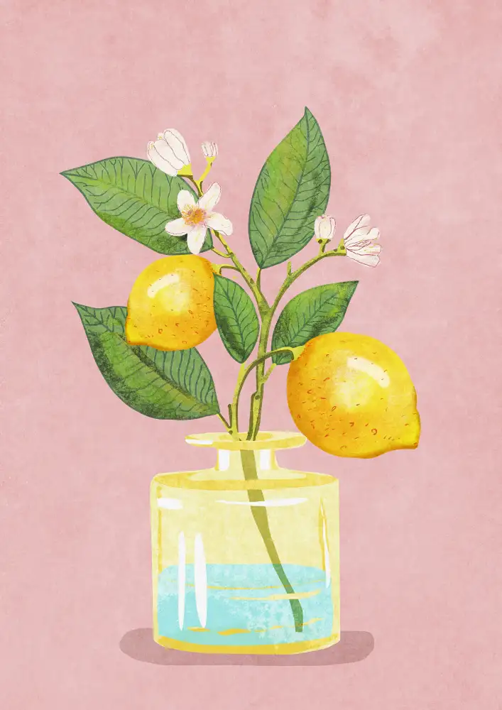 Oltmanns, Raissa: Mazzo Di Limone In Vaso