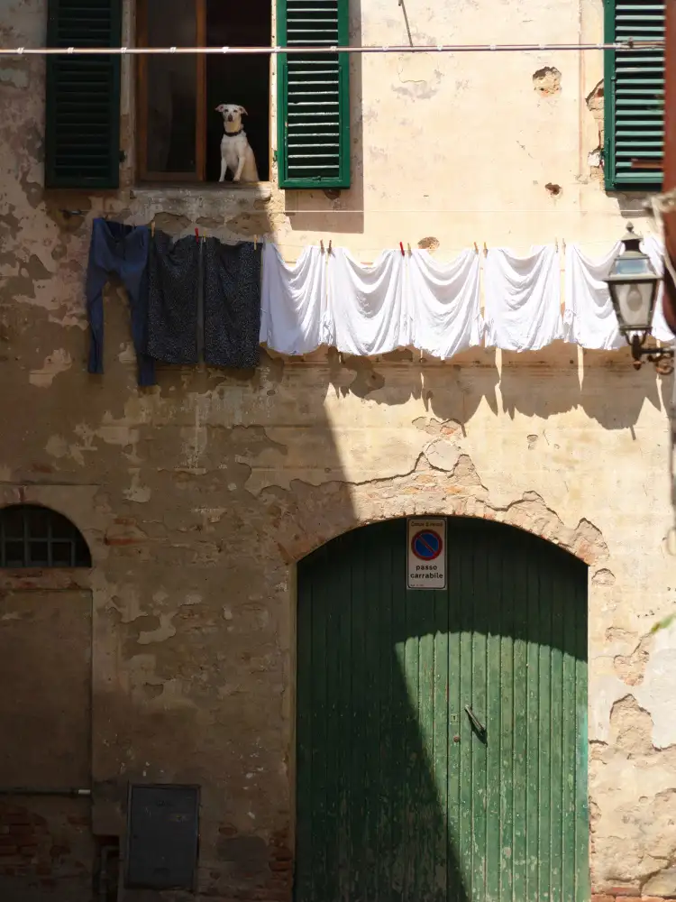 Latta, Della Massimo: Affacciati alla feinstra