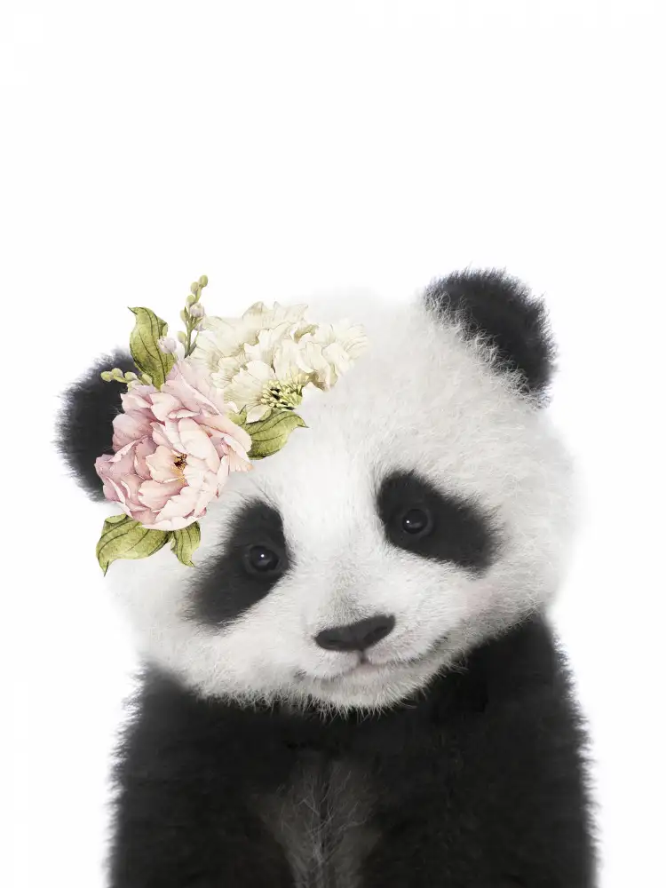 Peacock, Lola: Květinové miminko panda