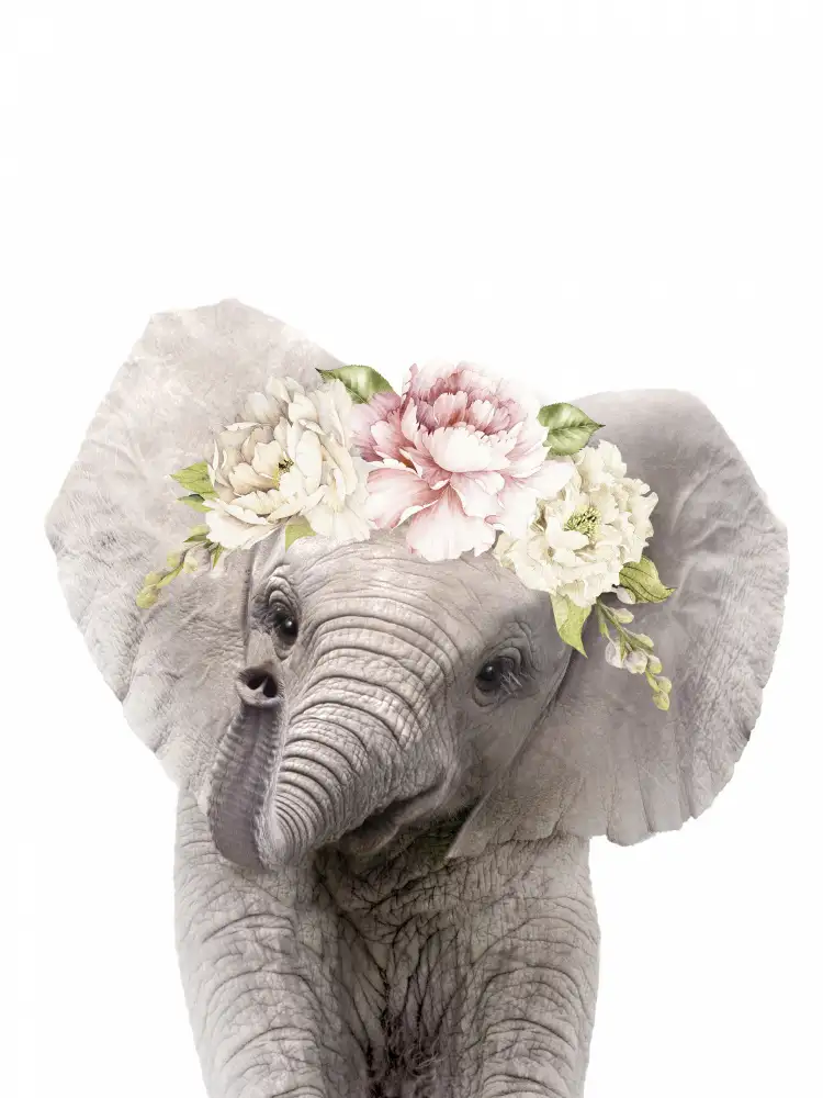 Peacock, Lola: Blumenbaby-Elefant