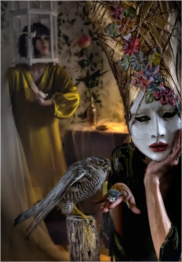 ambra: feeding