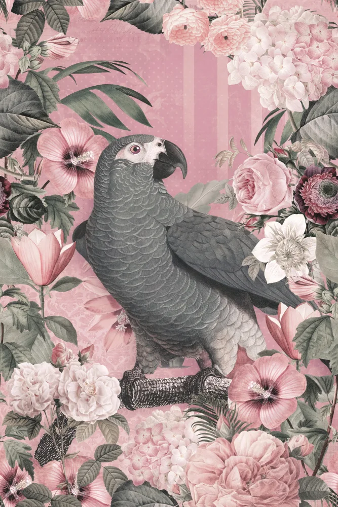 Haase, Andrea: I Pappagalli Paradise Garden 2 Rosa Pastello