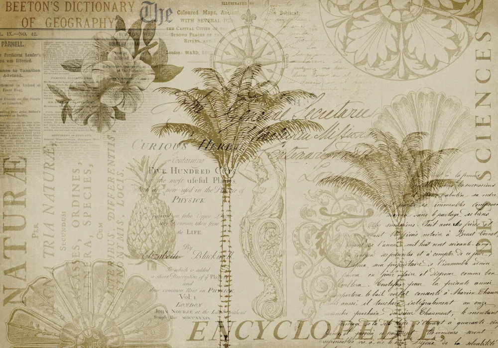 Haase, Andrea: Enciclopedia tropicale