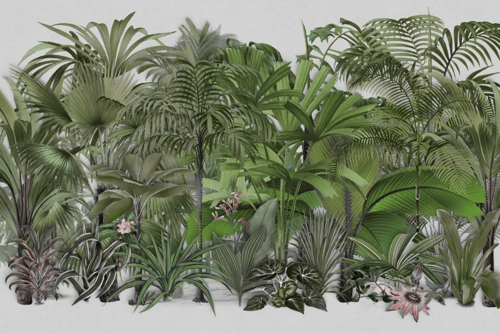 Haase, Andrea: Fauna esotica 003 1