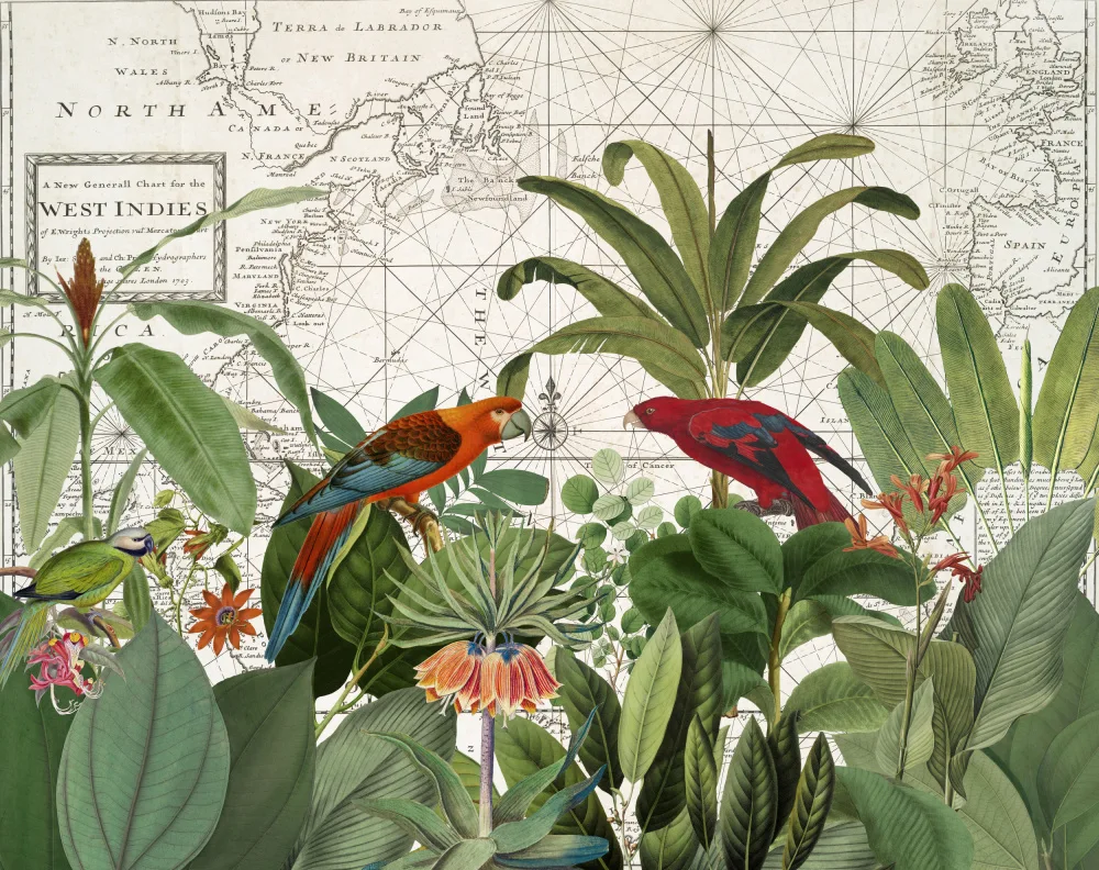 Haase, Andrea: Exotische Tierwelt 006