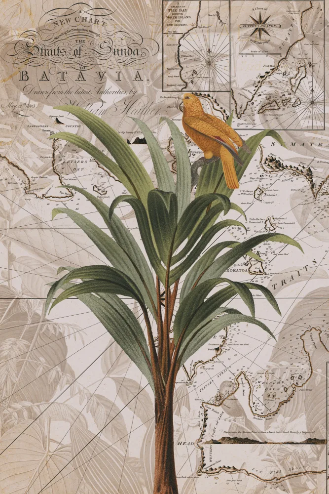 Haase, Andrea: Paradiso della giungla indonesiana n.2