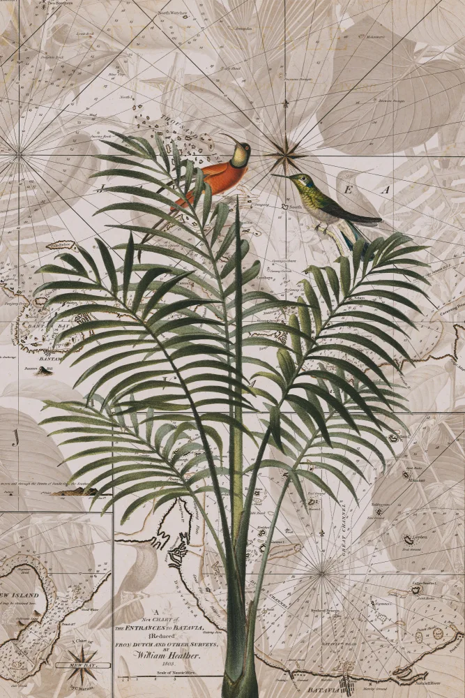 Haase, Andrea: Paradiso della giungla indonesiana n.4
