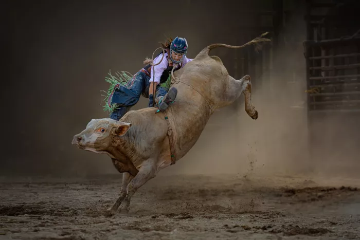 Jacobs, Lydia: Battle with Bull