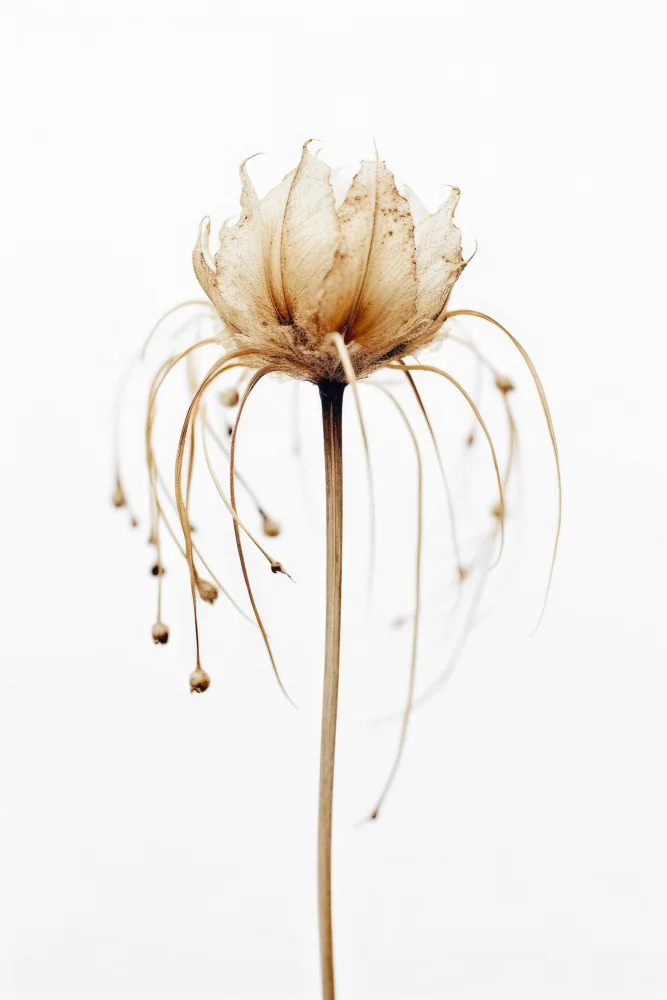 Treechild: Fleur tentacule
