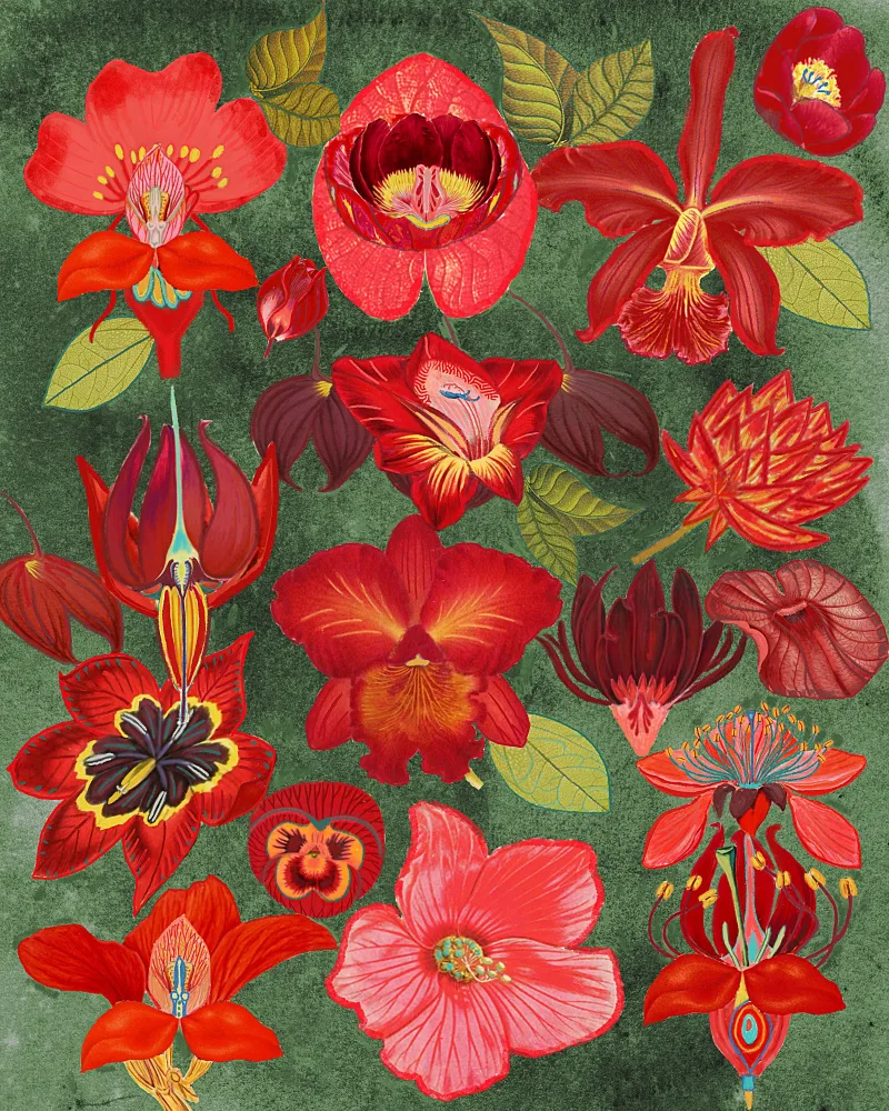 nicolo, giovanna: Final Eclectic Garden Copy 3.png