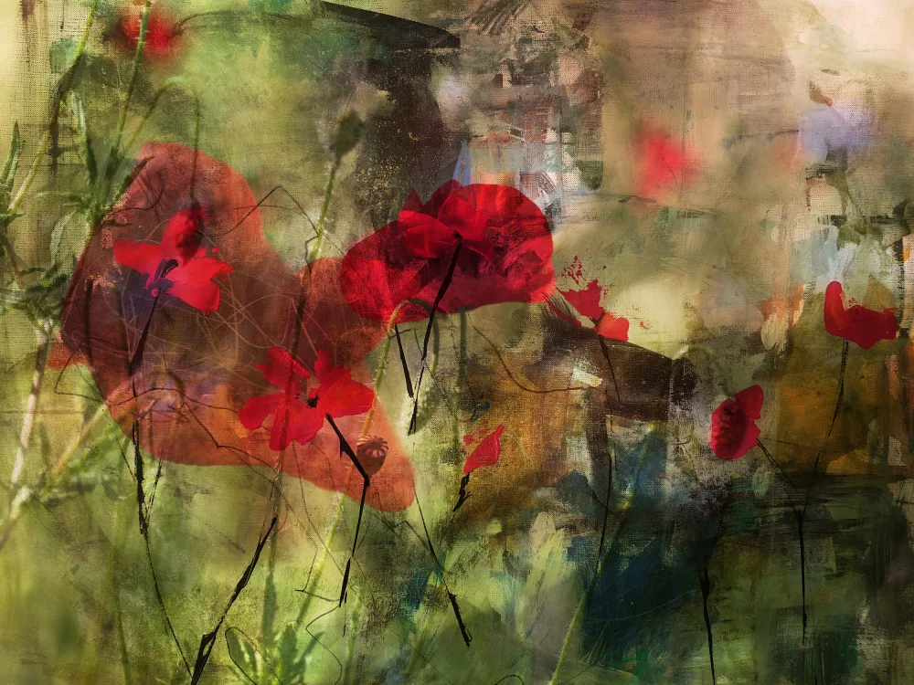 Deelen, van Ellen: Poppies