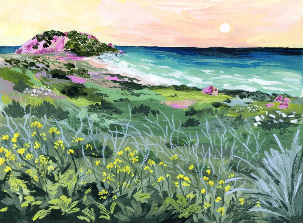 Gesek, Sarah: Roca del atardecer