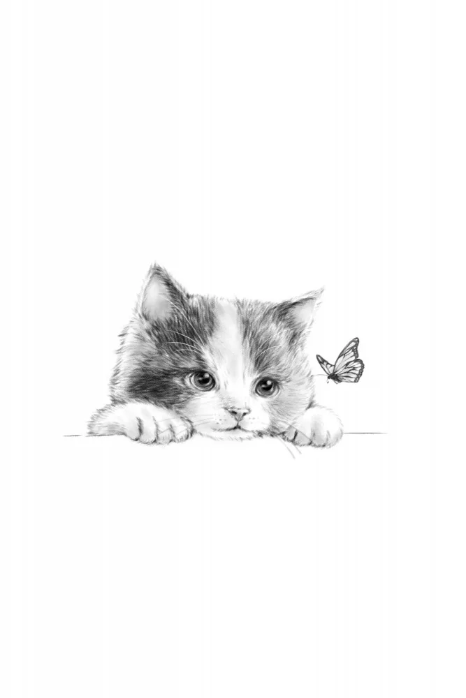 Thai, Xuan: Gatto nero
