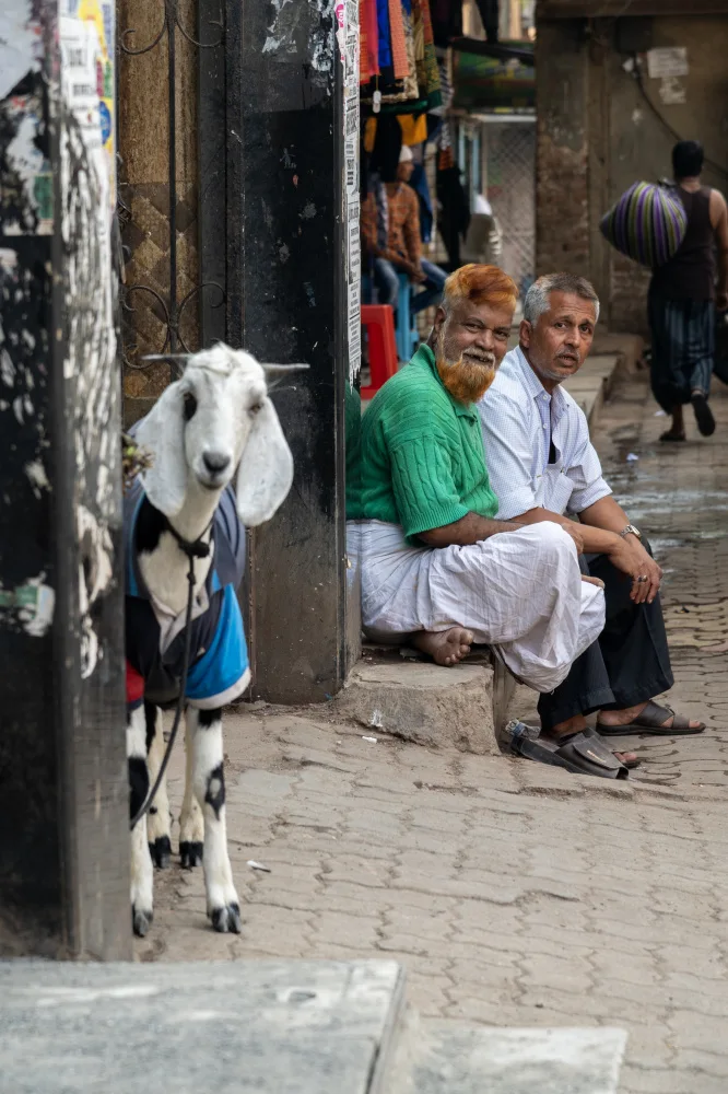 Lam, Ilana: funny Street scenes