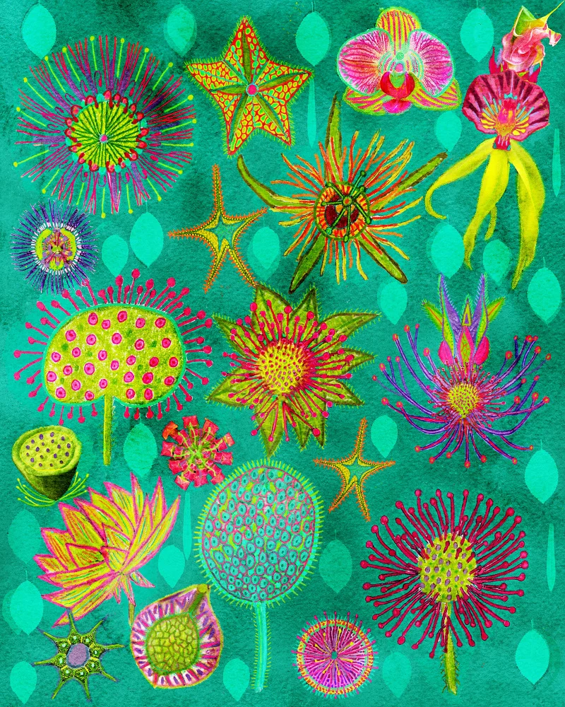 nicolo, giovanna: Electric Candy Forest.png