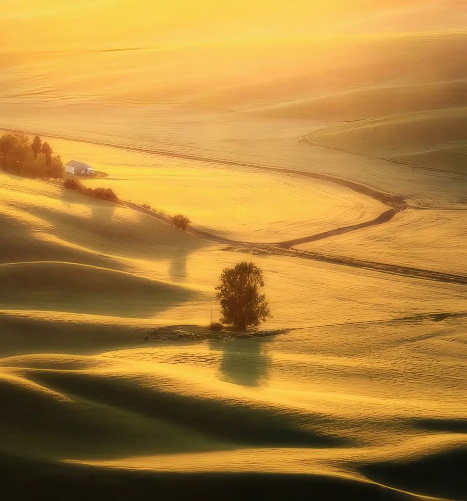 NanZ: Pohled na Palouse