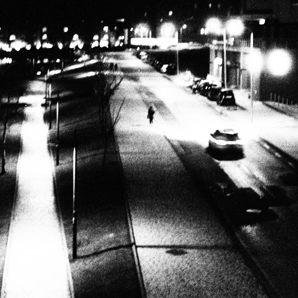 Abrantes, Paulo: Sentiers de papier de nuit