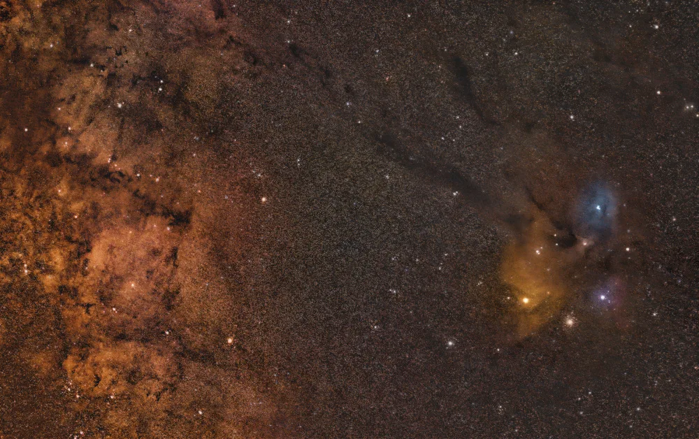 Ambrose, Dahlia: Rho Ophiuchi Cloud Complex