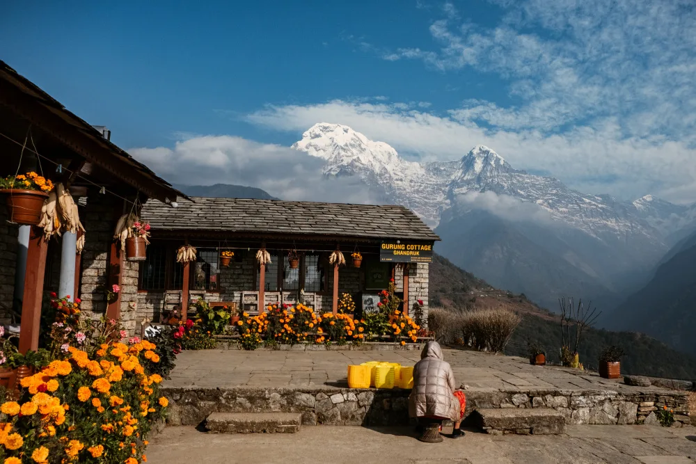 Ambrose, Dahlia: View of Annapurna Range from Ghandruk