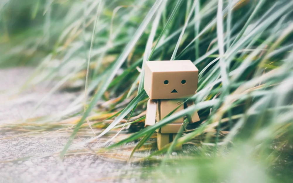 Ambrose, Dahlia: Danbo on a Walk