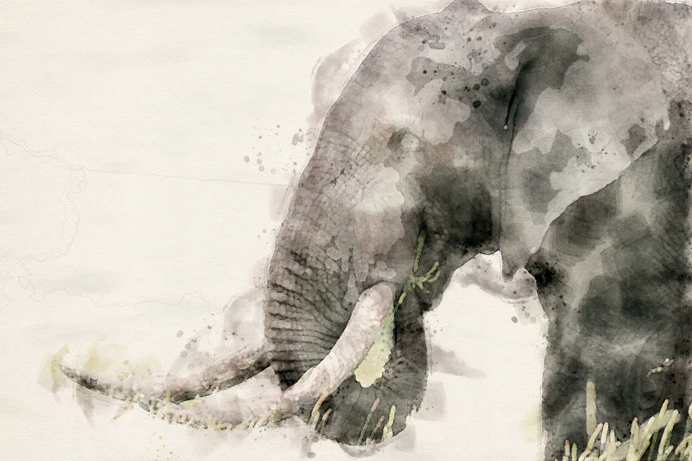 Toit, Du Arno: Abstraktní africký slon akvarel umění