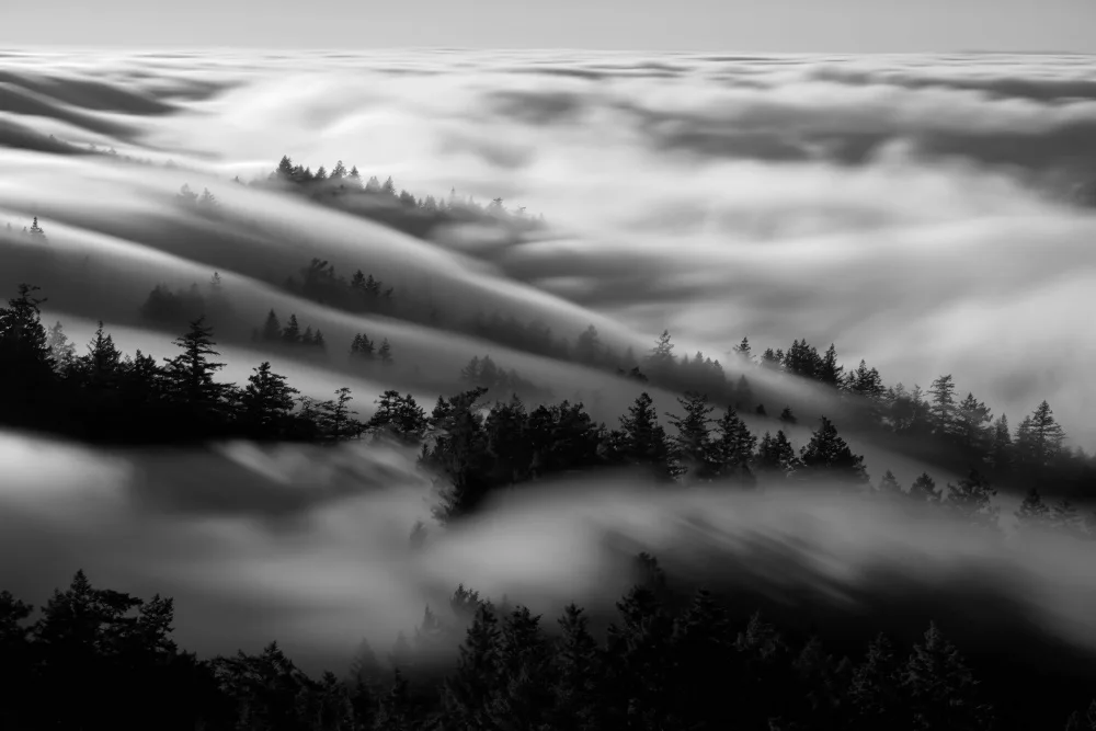 Zhang, Johnny: Se baigner dans le brouillard