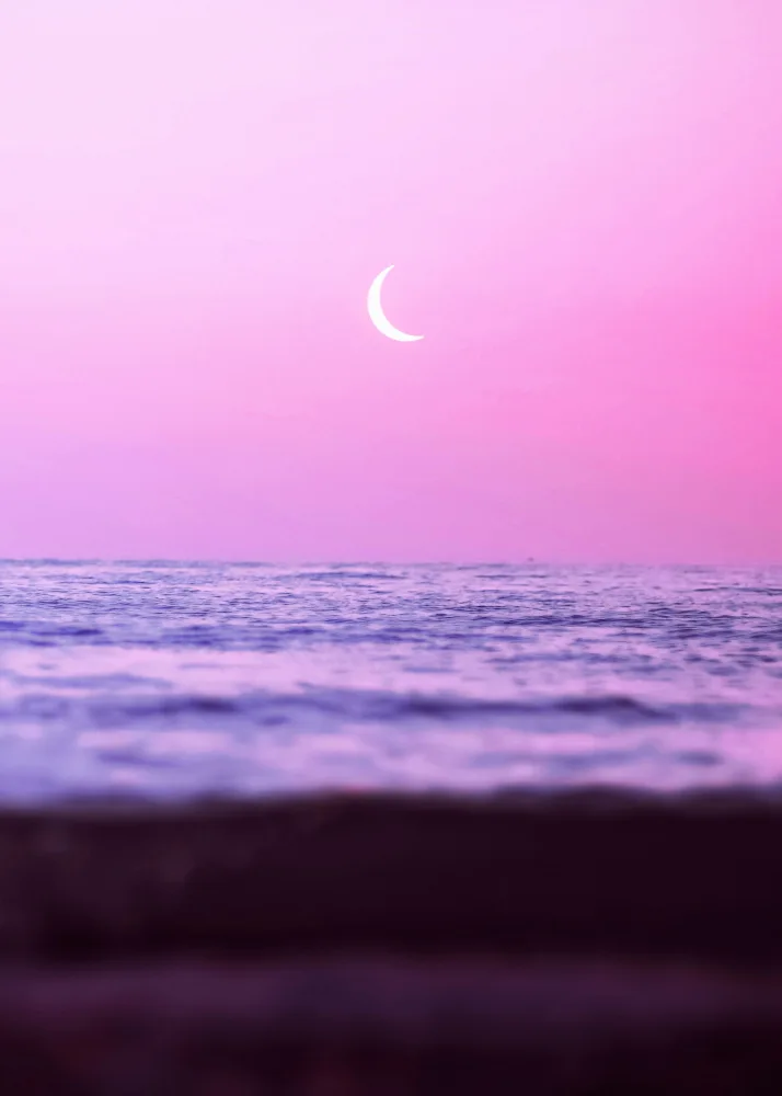 Barizi, Al: Sweet Ocean