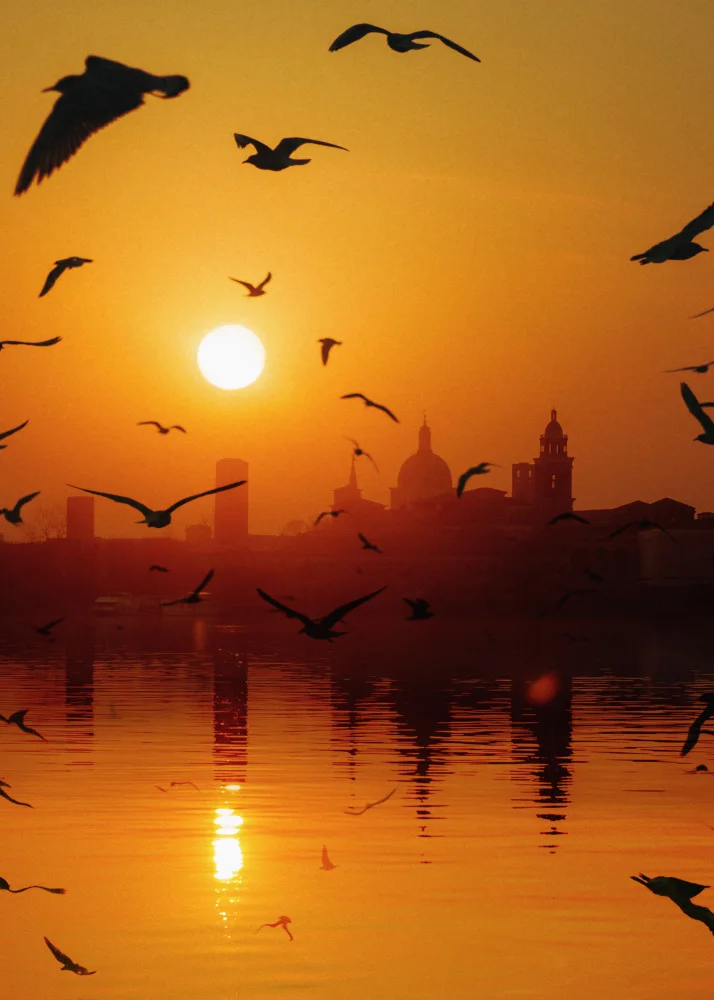 Barizi, Al: Sunset Birds Lake