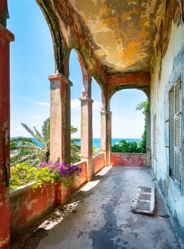Robroek, Roman: Tropical Balcony