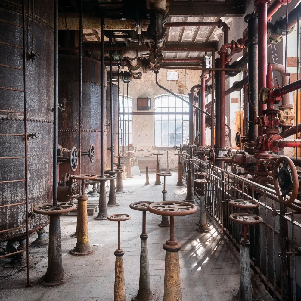 Robroek, Roman: Industria in decadenza