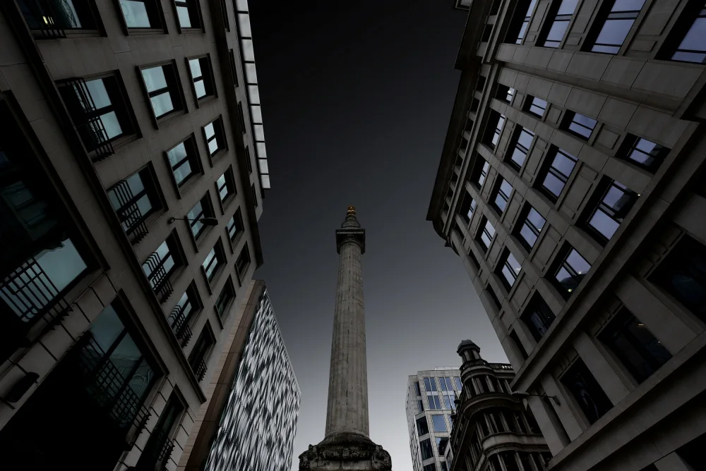 Pimenta, Jorge: Metropolis